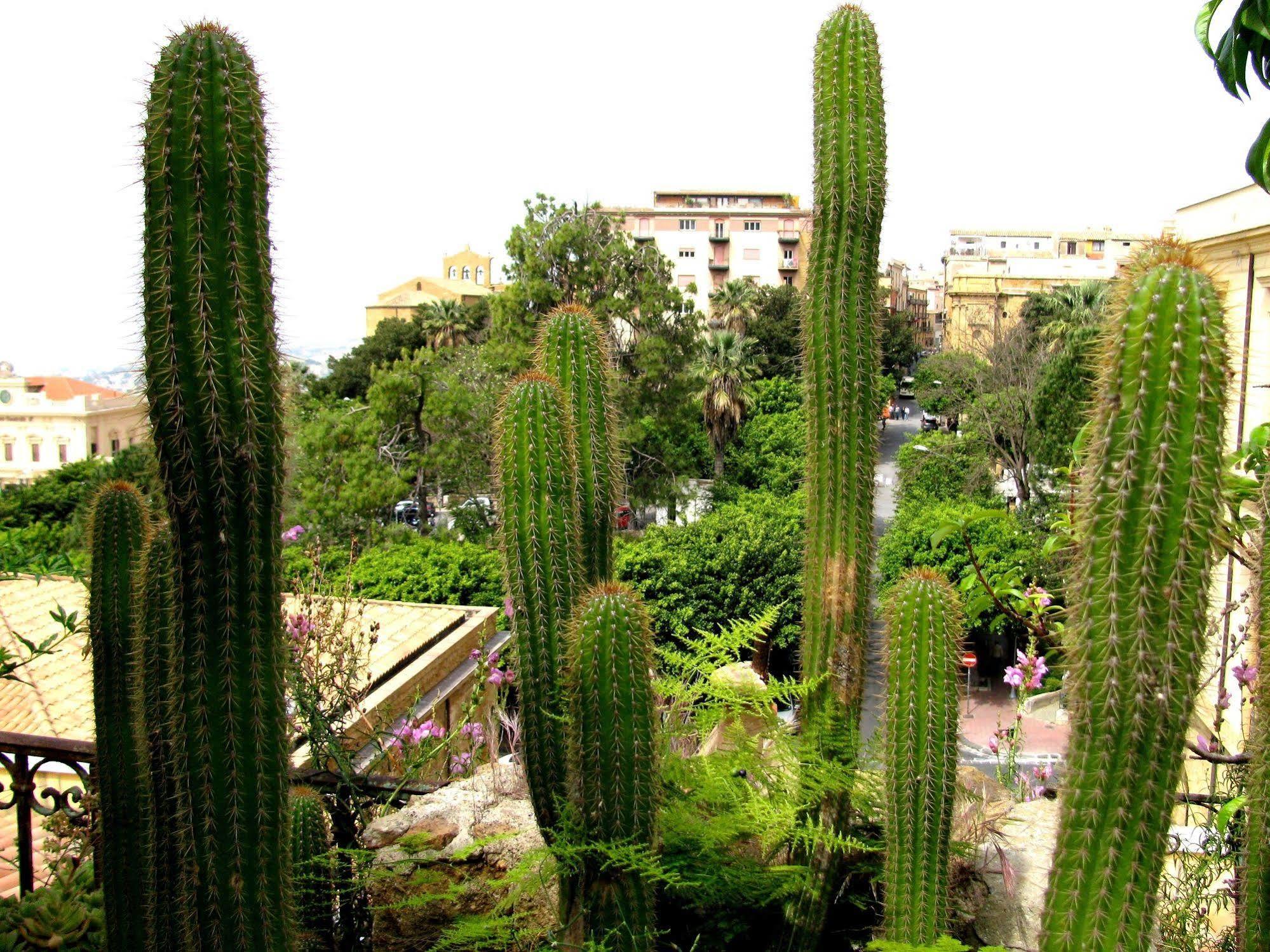 Bed & Breakfast Le Palme Agrigent Exterior foto